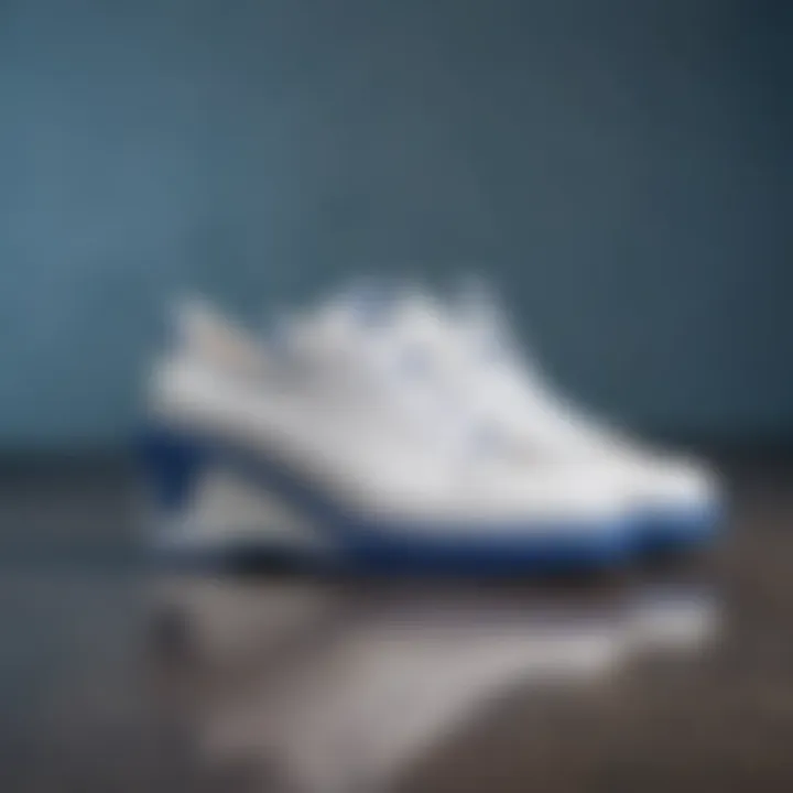 Care tips for white and blue shoes displayed visually