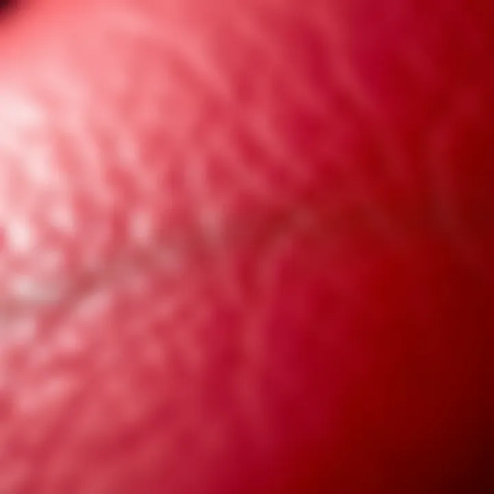 A close-up of red leather texture, highlighting its luxurious and glossy finish.