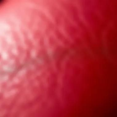 Luxurious Red Leather Texture A close-up of red leather texture, highlighting its luxurious and glossy finish.